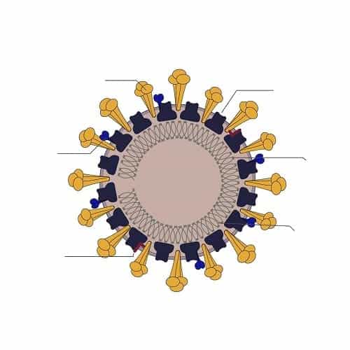 coronavirus virus covid19 docteur federico loreto chirurgien esthetique paris